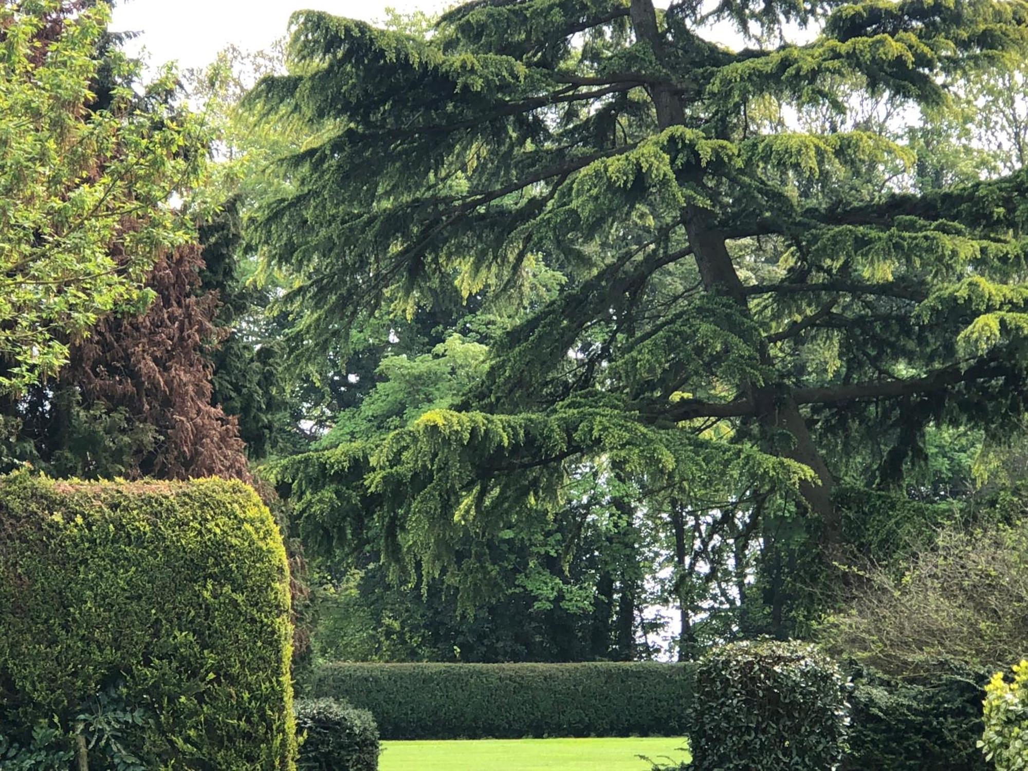 Wartling Place Country House エクステリア 写真